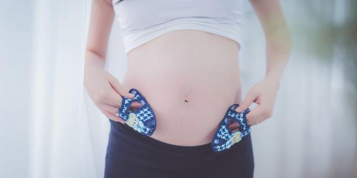 ﻿ 2 неделя беременности: признаки, ощущения и развитие плода
