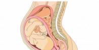 Prvé tehotenstvo: pohyb plodu